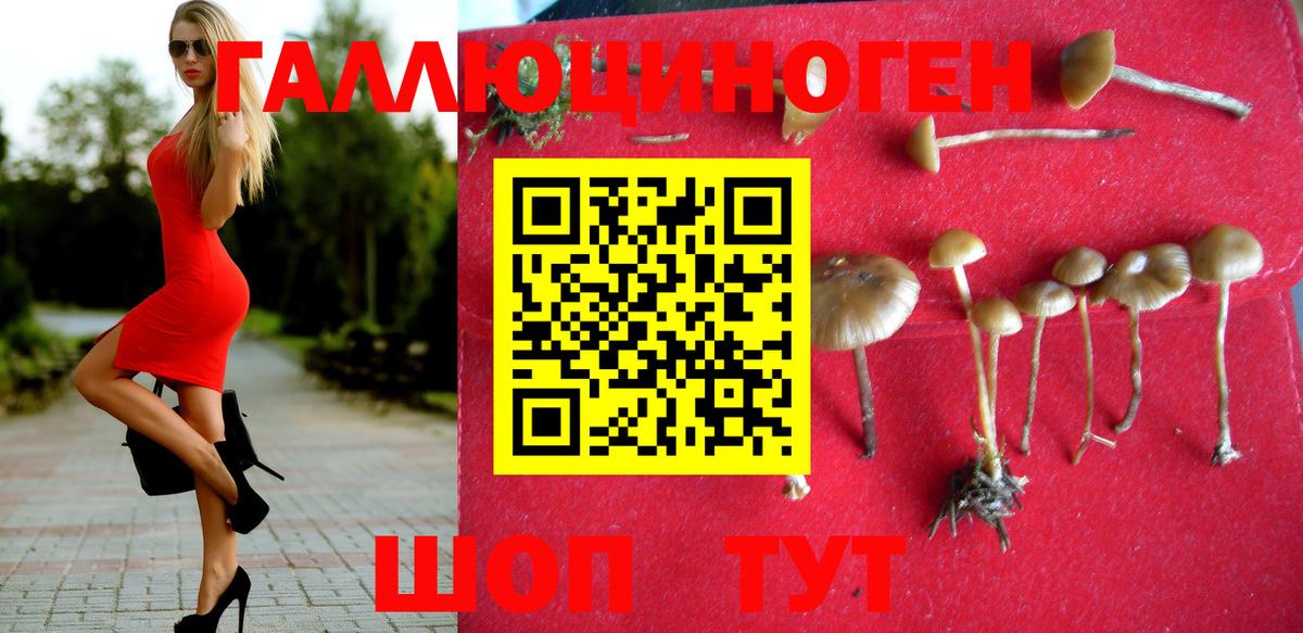 Псилоцибиновые грибы GOLDEN TEACHER Арзамас