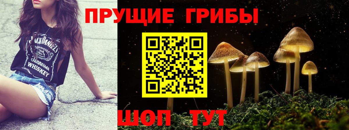 Псилоцибиновые грибы MAGIC MUSHROOMS  Вход с VPN  Арзамас 